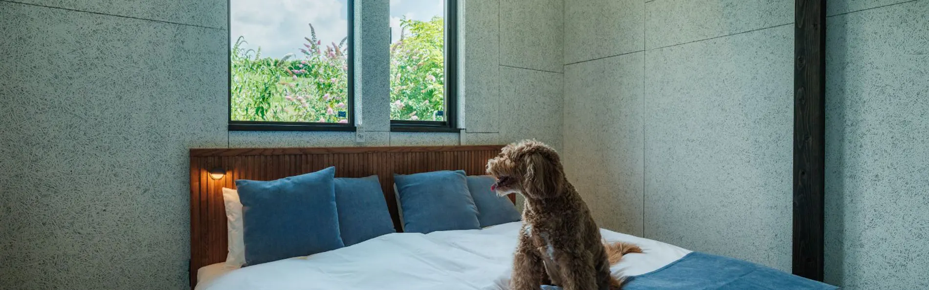 ASNOVA RESORT / 空の家ガーデン