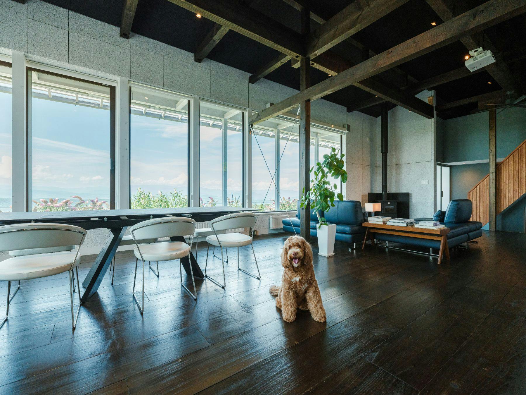 ASNOVA RESORT / 空の家ガーデン