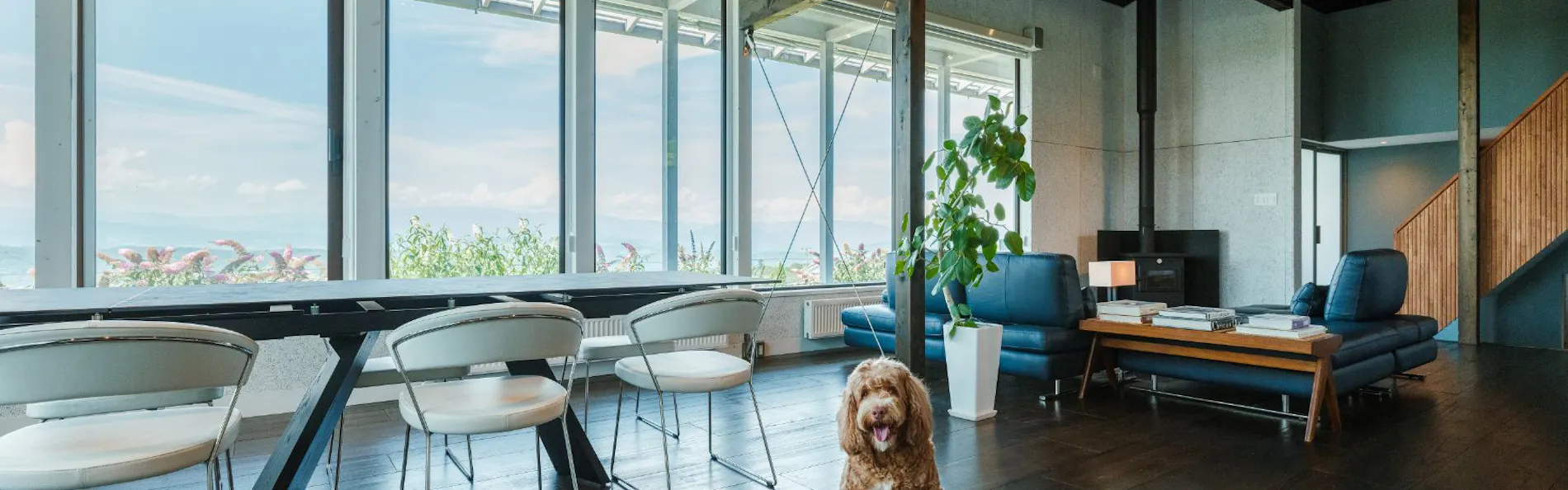 ASNOVA RESORT / 空の家ガーデン