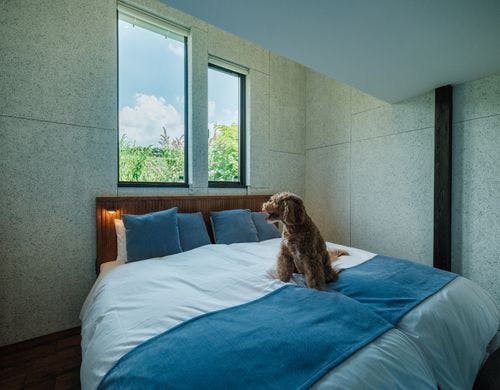 愛犬添い寝可（要マナーパンツ着用）