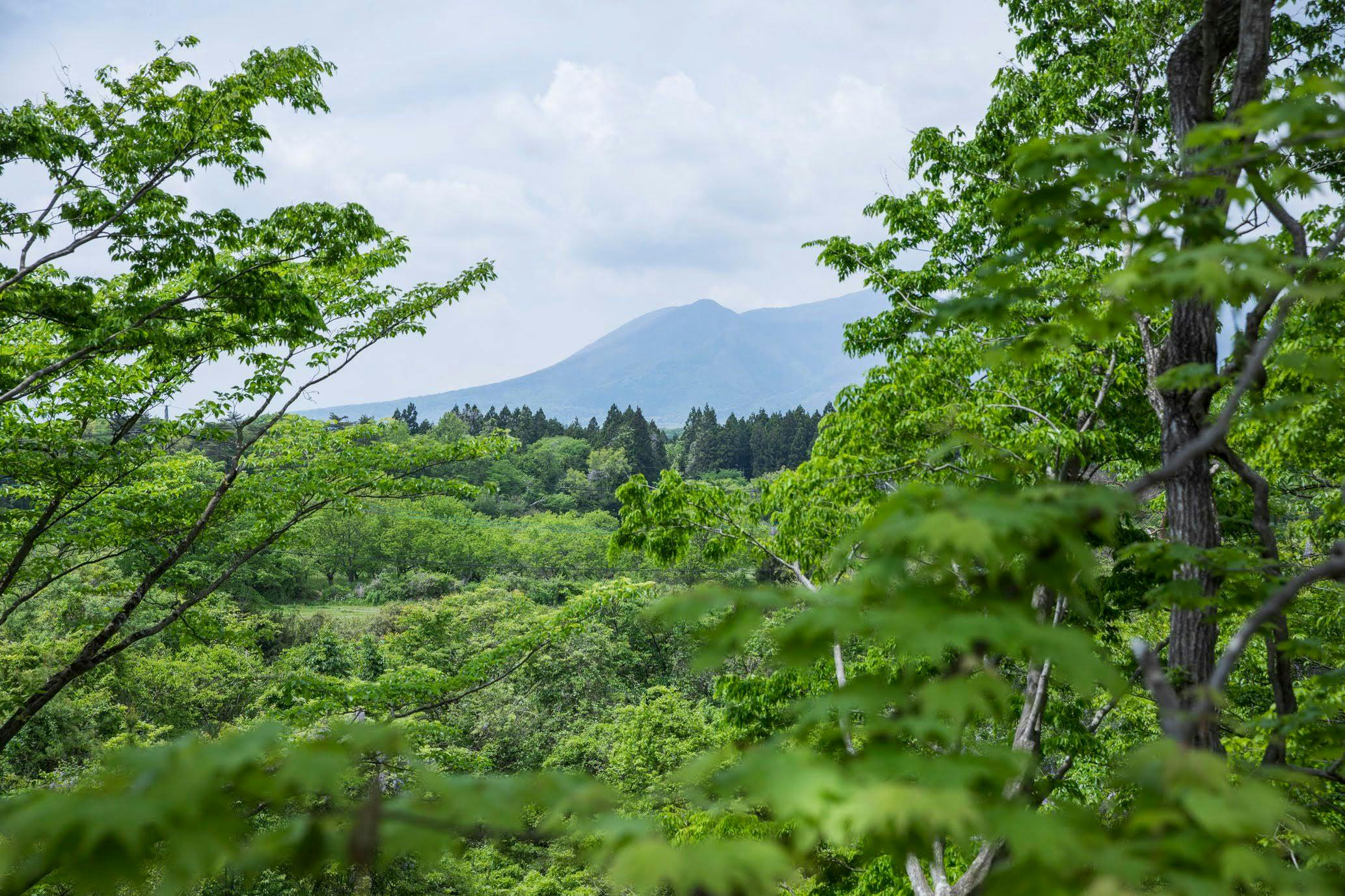 COCO VILLA 那須高原