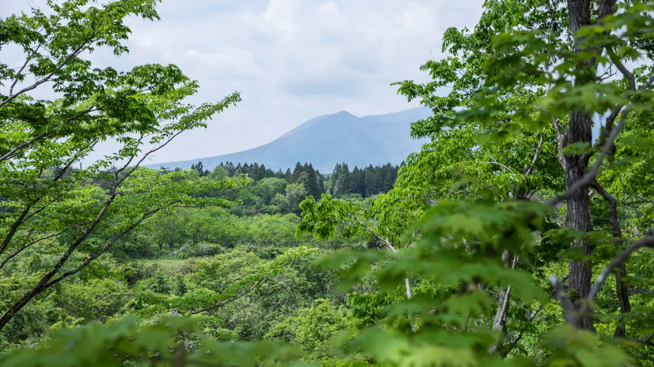 COCO VILLA Nasu Highland