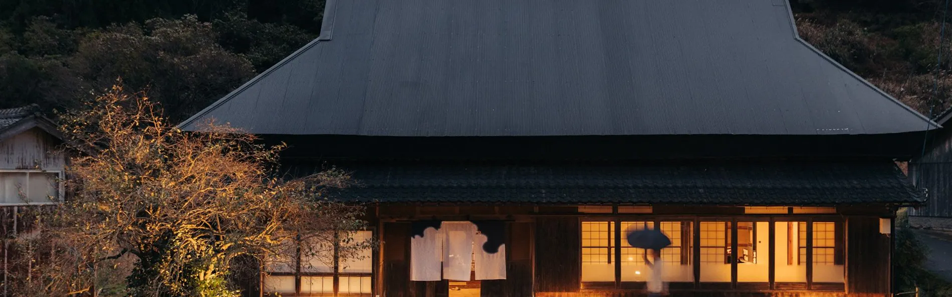野間野