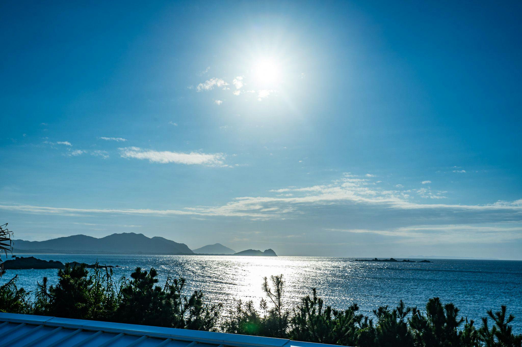 Private Sauna Villa with Your Beloved Dog in Itoshima | ALL LIFE Resort
