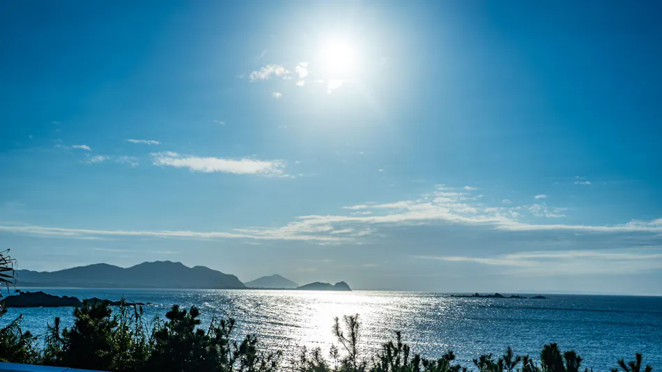 Private Sauna Villa with Your Beloved Dog in Itoshima | ALL LIFE Resort