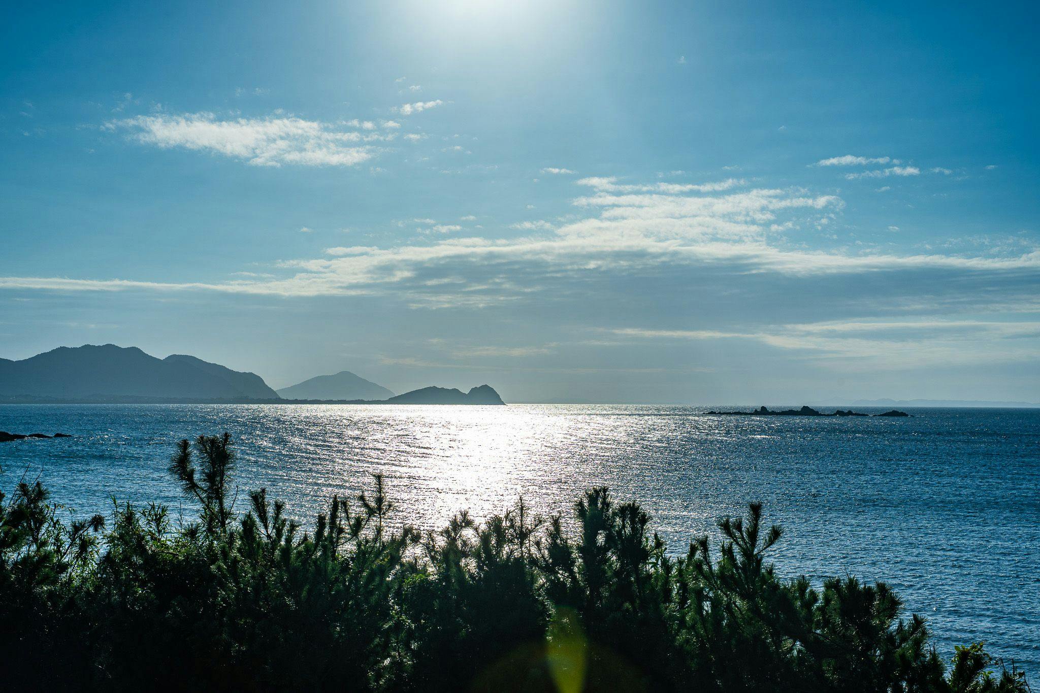 Private Sauna Villa with Your Beloved Dog in Itoshima | ALL LIFE Resort