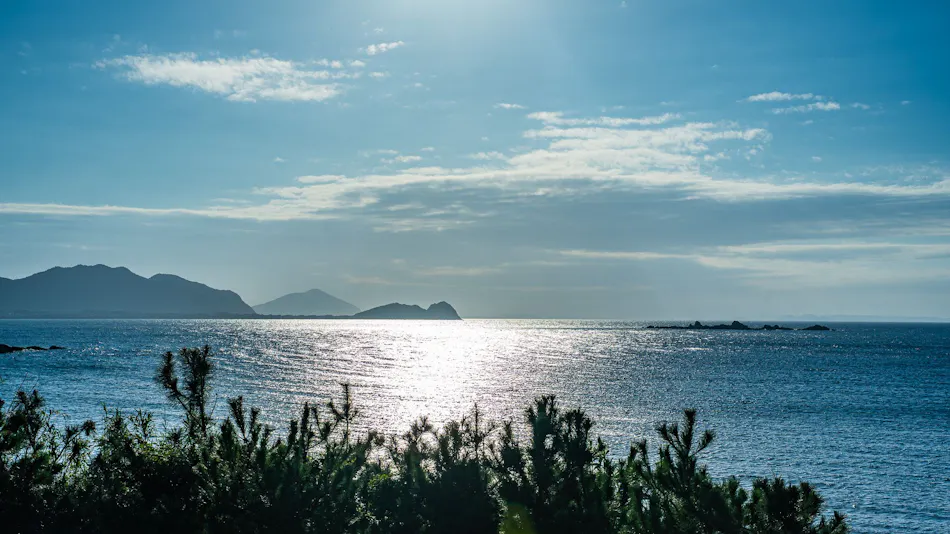 Private Sauna Villa with Your Beloved Dog in Itoshima | ALL LIFE Resort