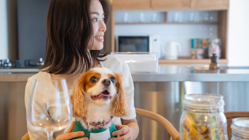 Private Sauna Villa with Your Beloved Dog in Itoshima | ALL LIFE Resort