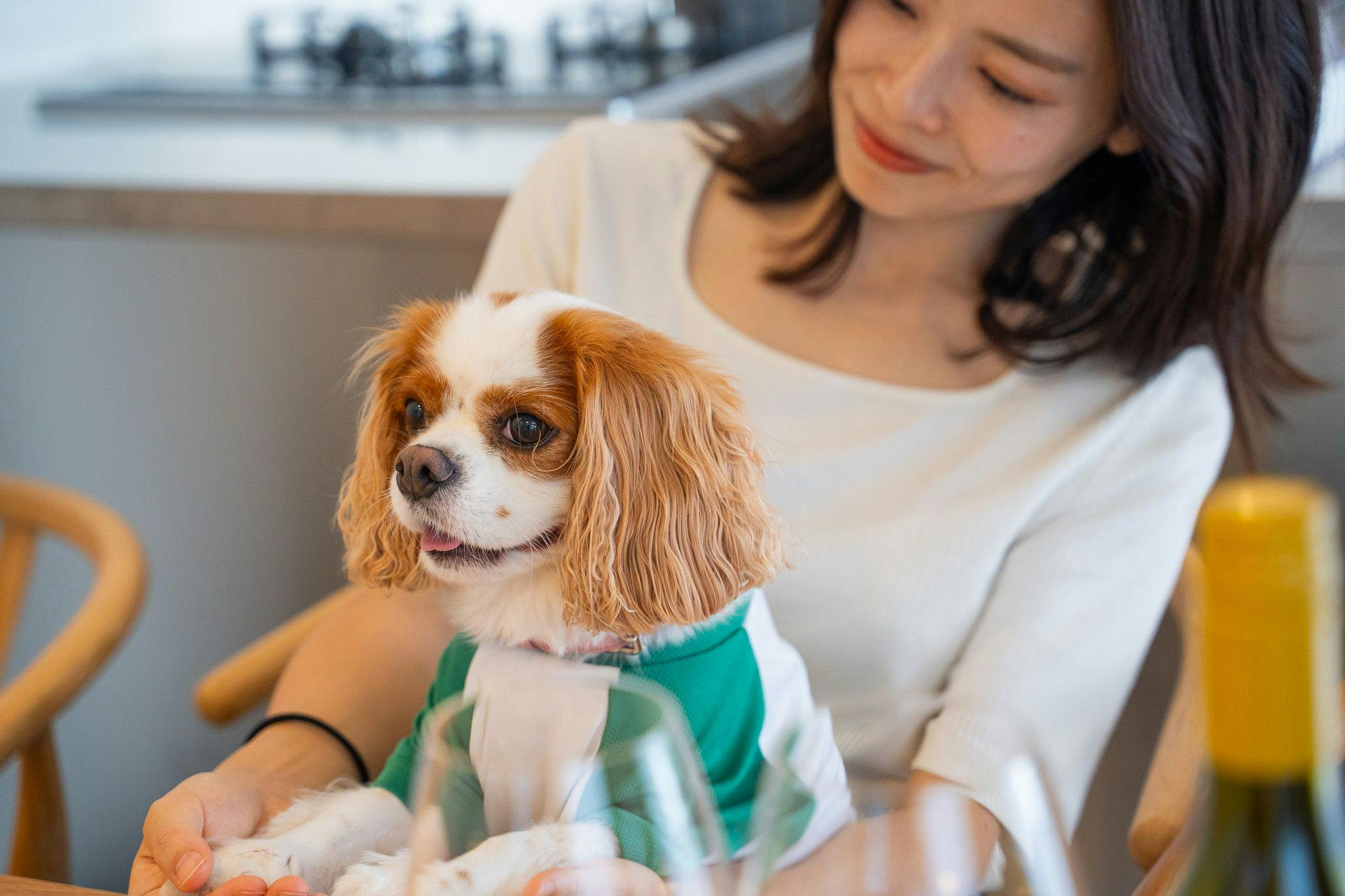 Private Sauna Villa with Your Beloved Dog in Itoshima | ALL LIFE Resort