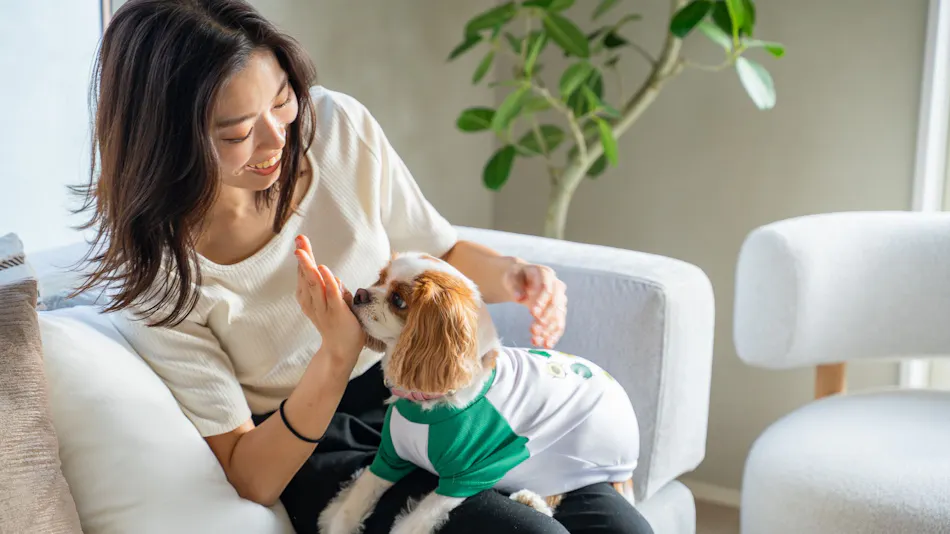 Private Sauna Villa with Your Beloved Dog in Itoshima | ALL LIFE Resort