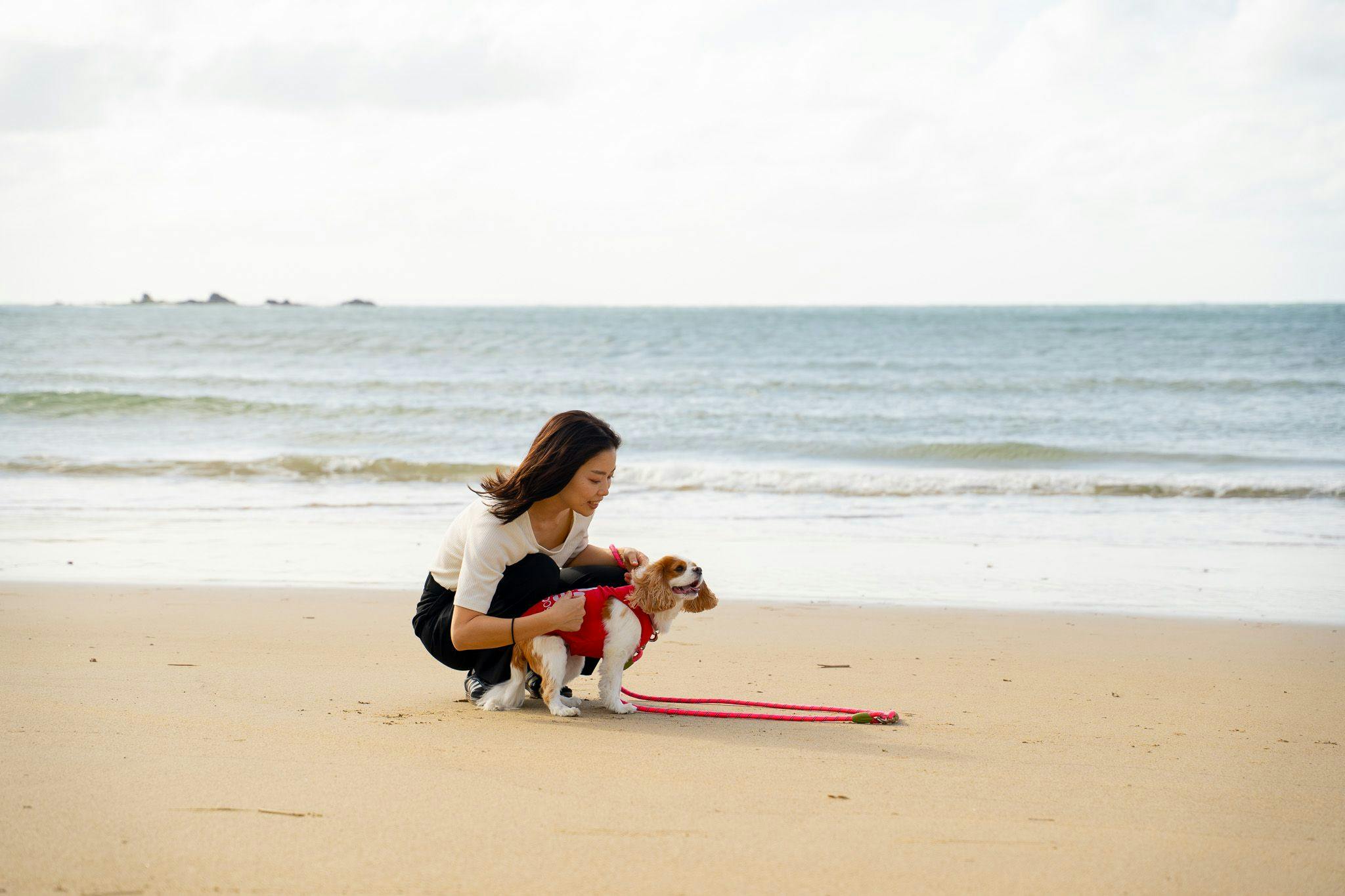 ชายหาดส่วนตัวและสัตว์เลี้ยงแสนรัก