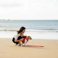 ชายหาดส่วนตัวและสัตว์เลี้ยงแสนรัก