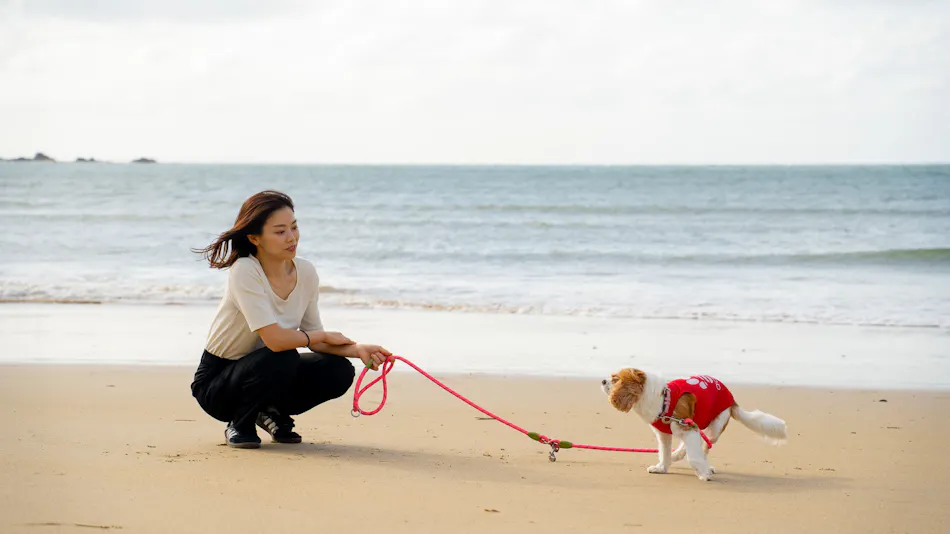 Private Sauna Villa with Your Beloved Dog in Itoshima | ALL LIFE Resort