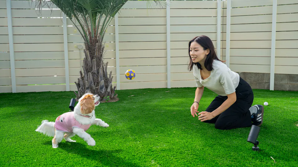 Private Sauna Villa with Your Beloved Dog in Itoshima | ALL LIFE Resort