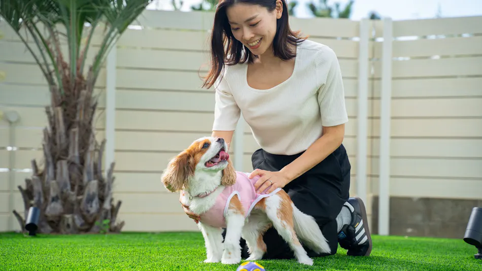 Private Sauna Villa with Your Beloved Dog in Itoshima | ALL LIFE Resort