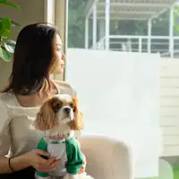 ห้องนั่งเล่น