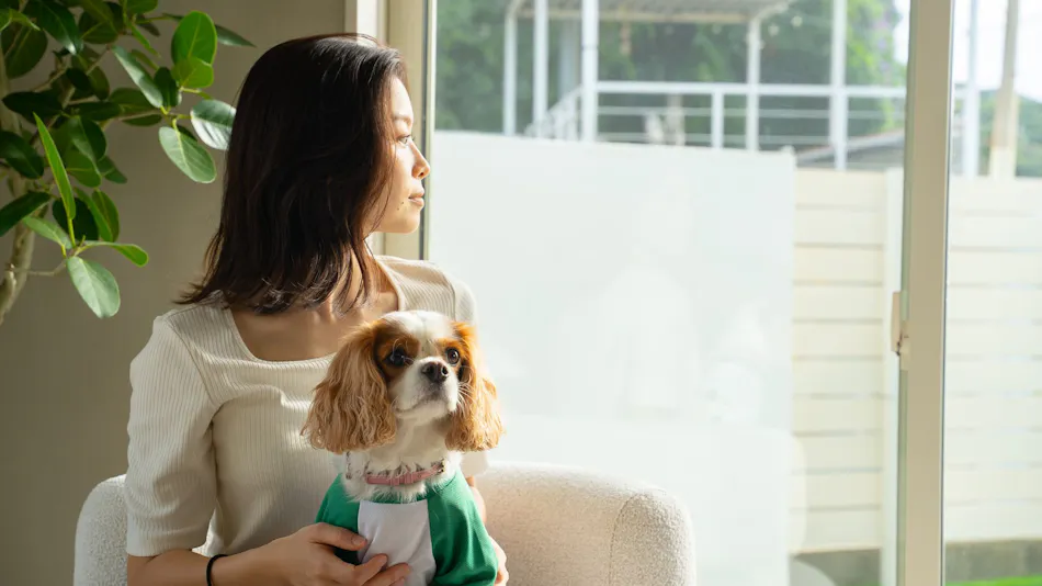 Private Sauna Villa with Your Beloved Dog in Itoshima | ALL LIFE Resort