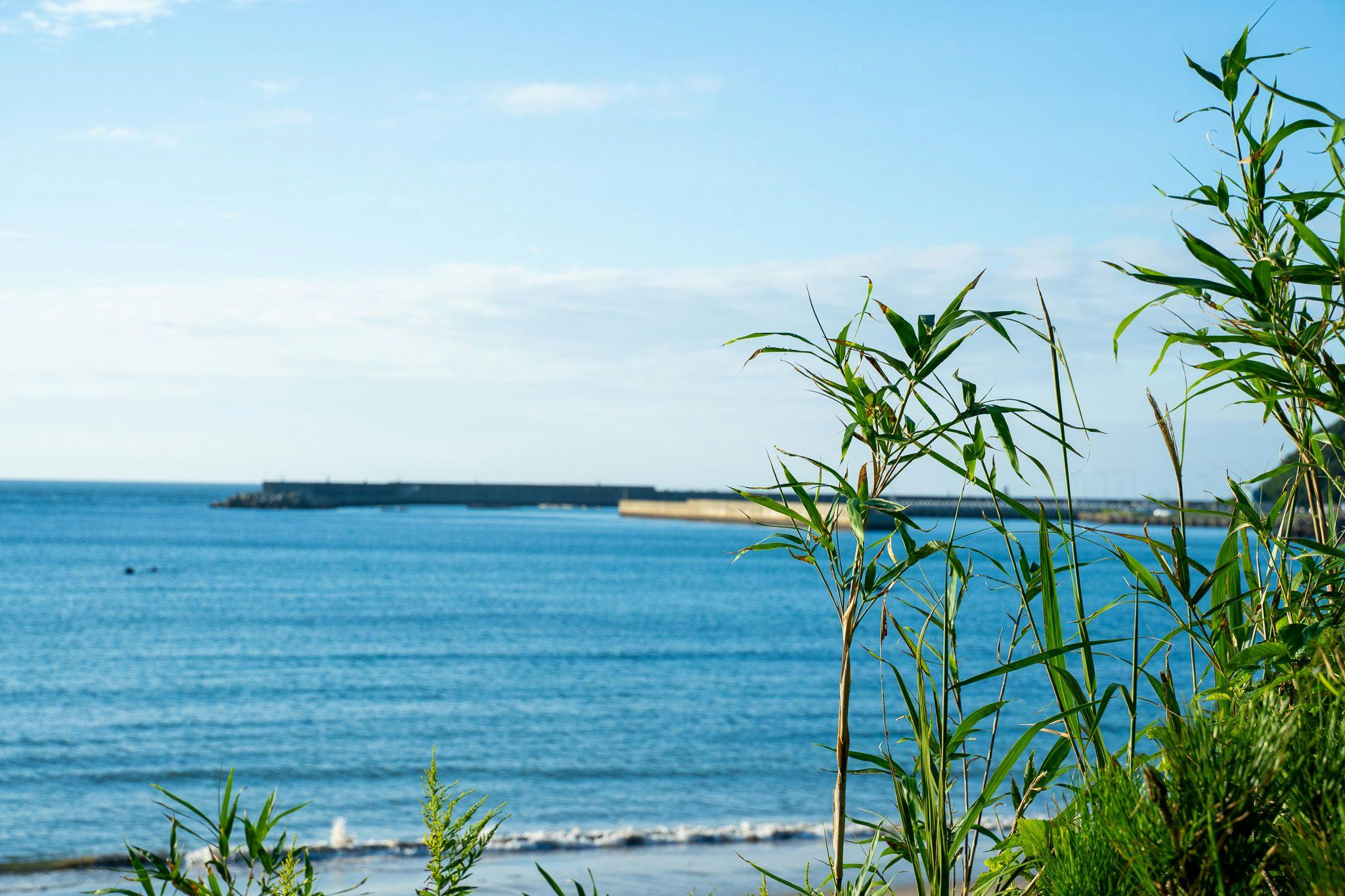 ทิวทัศน์