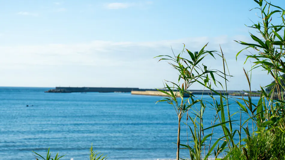 Private Sauna Villa with Your Beloved Dog in Itoshima | ALL LIFE Resort