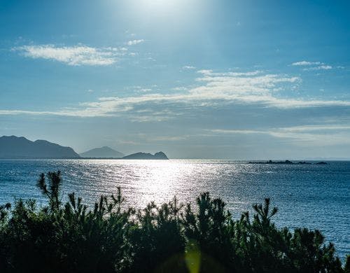 2階デッキからの景色