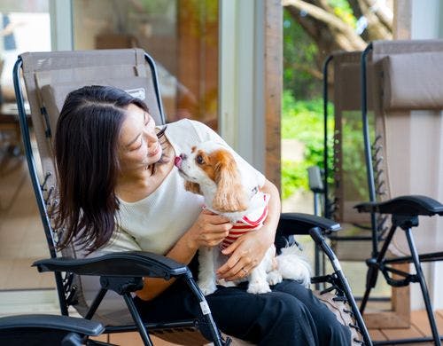 ペットフレンドリー