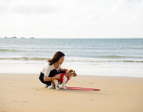 プライベートな海と愛犬