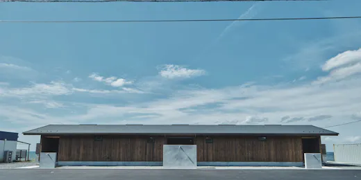 青々