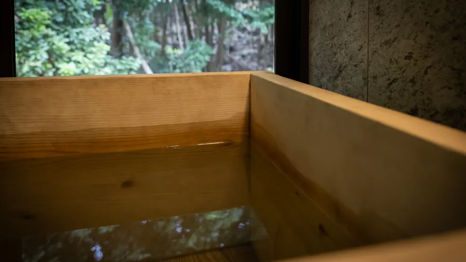 COCO VILLA Izu Akazawa