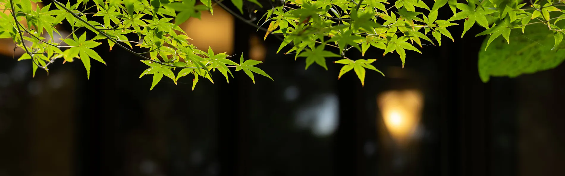 COCO VILLA 伊豆赤沢