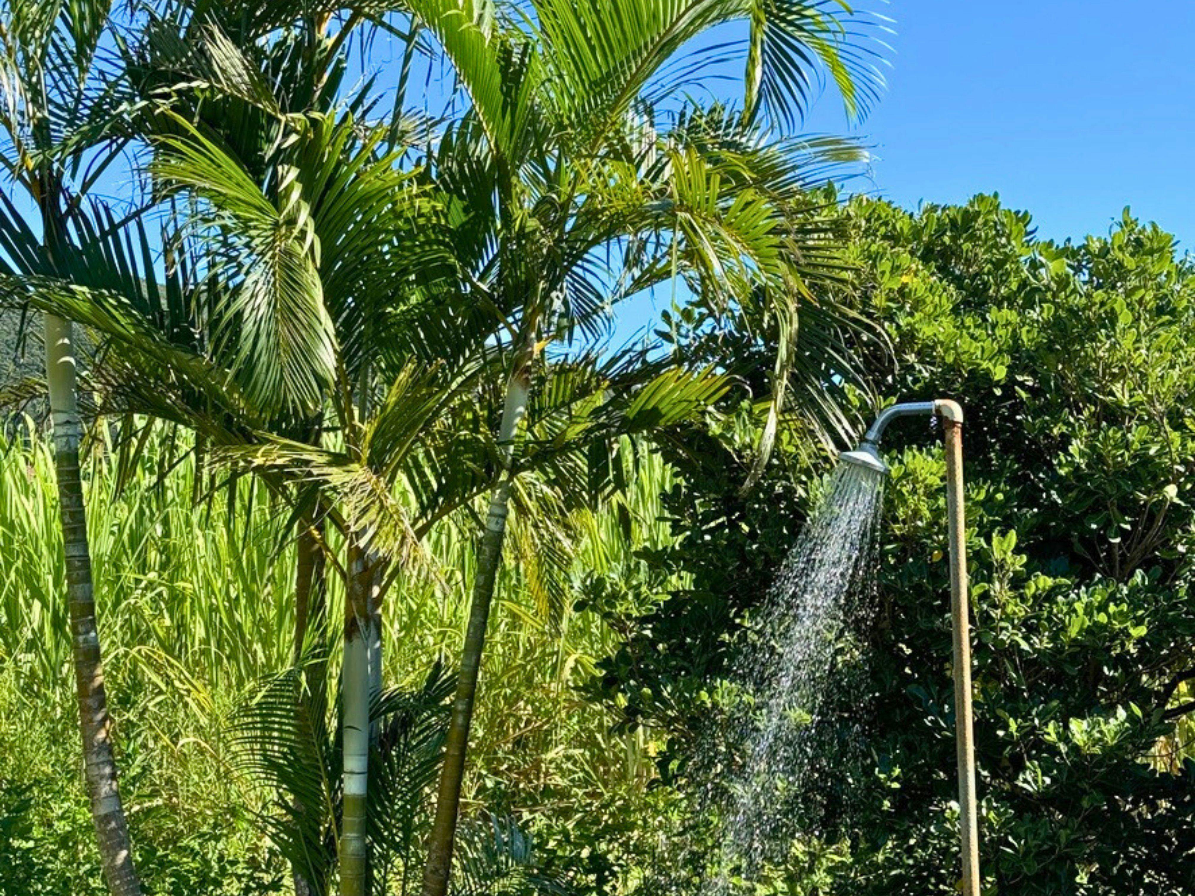 สดชื่นด้วยฝักบัวในสวน