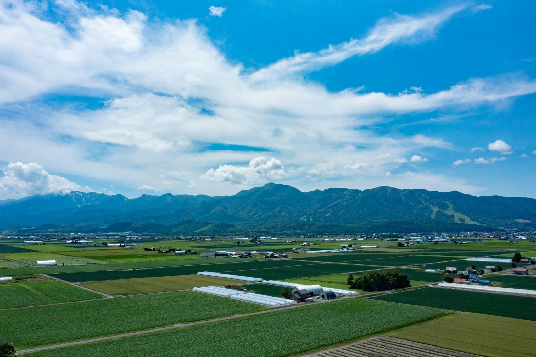 広がる田園と山並み