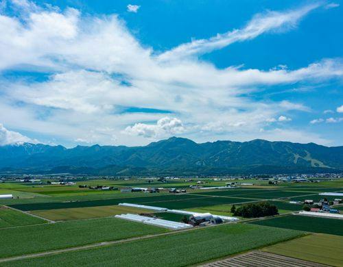 広がる田園と山並み