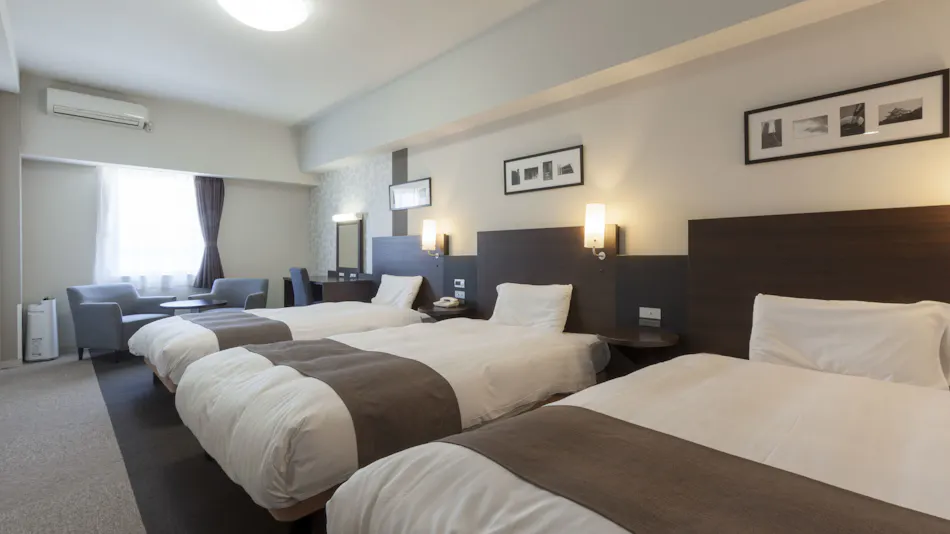 Comfort Hotel Central Intl. Airport