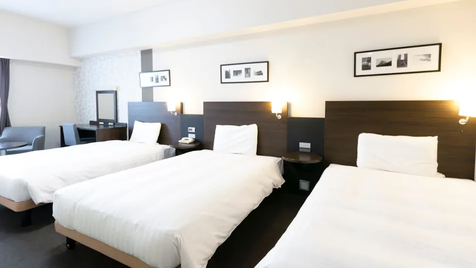 Comfort Hotel Central Intl. Airport