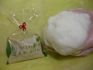 【特典付】　【佐賀うれしの茶美肌石鹸付プラン】　-人工ラジウム温泉完備・バイキング朝食付-