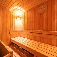 ซาวน่าฮิโนกิ