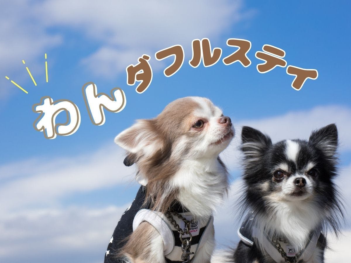 レイセニット城崎スイートVILLA - 【素泊まり×わんダフルステイ】愛犬