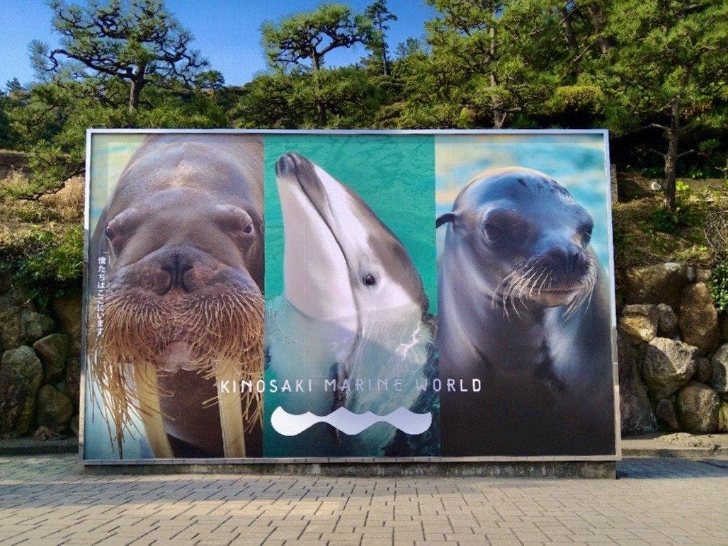 คิโนซากิ มารีนเวิลด์ (5 นาทีโดยรถยนต์จากที่พัก)