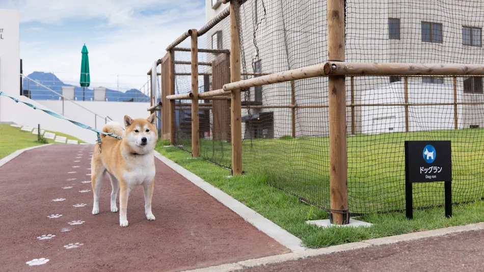 APA Hotel & Resort Joetsu Myoko