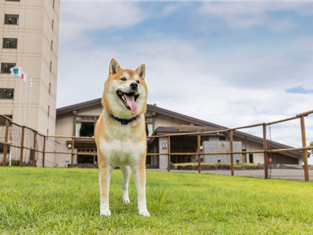 アパホテル＆リゾート〈上越妙高〉
