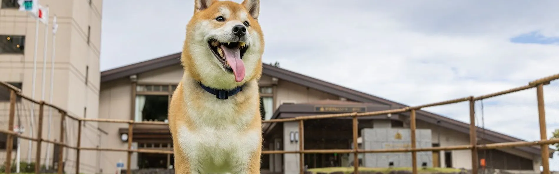 アパホテル&リゾート〈上越妙高〉