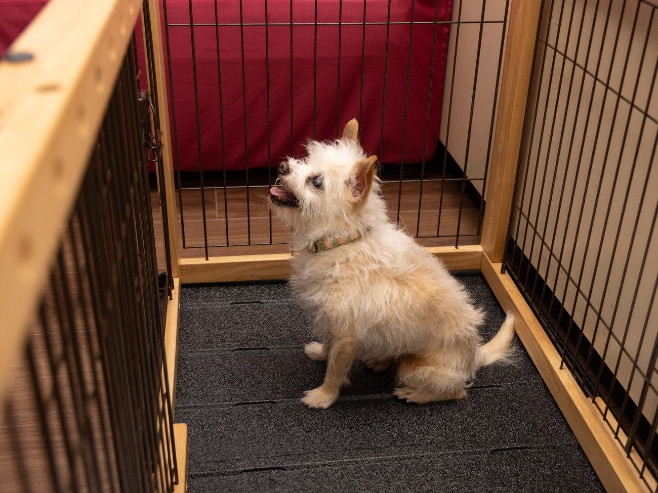 アパホテル＆リゾート〈上越妙高〉