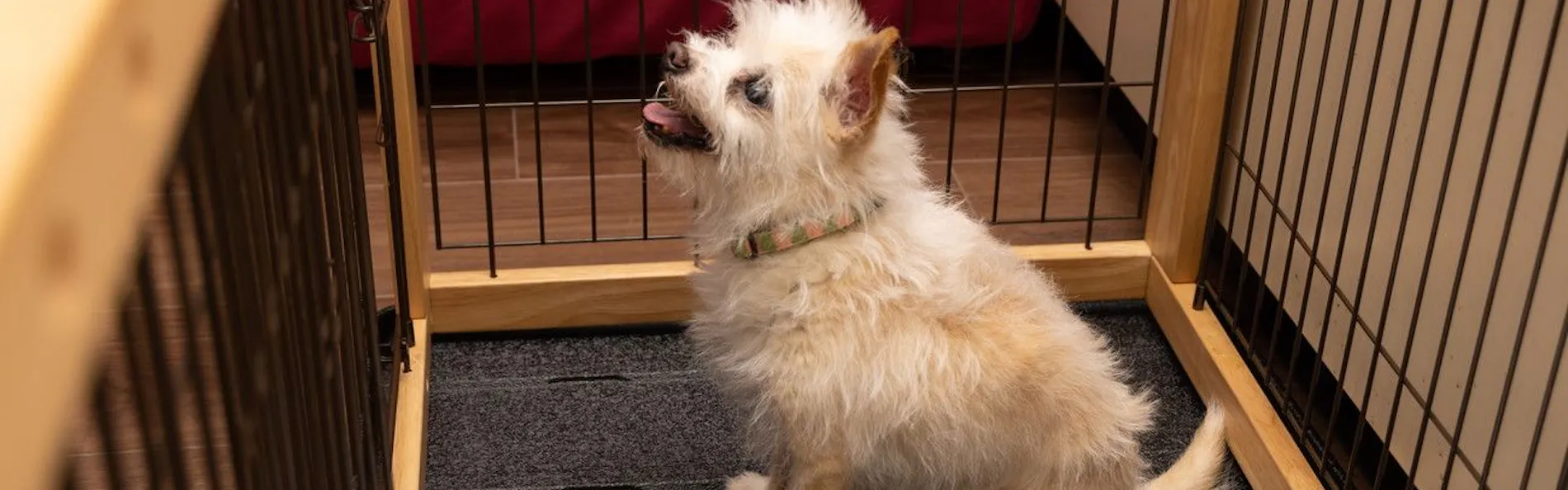 アパホテル&リゾート〈上越妙高〉