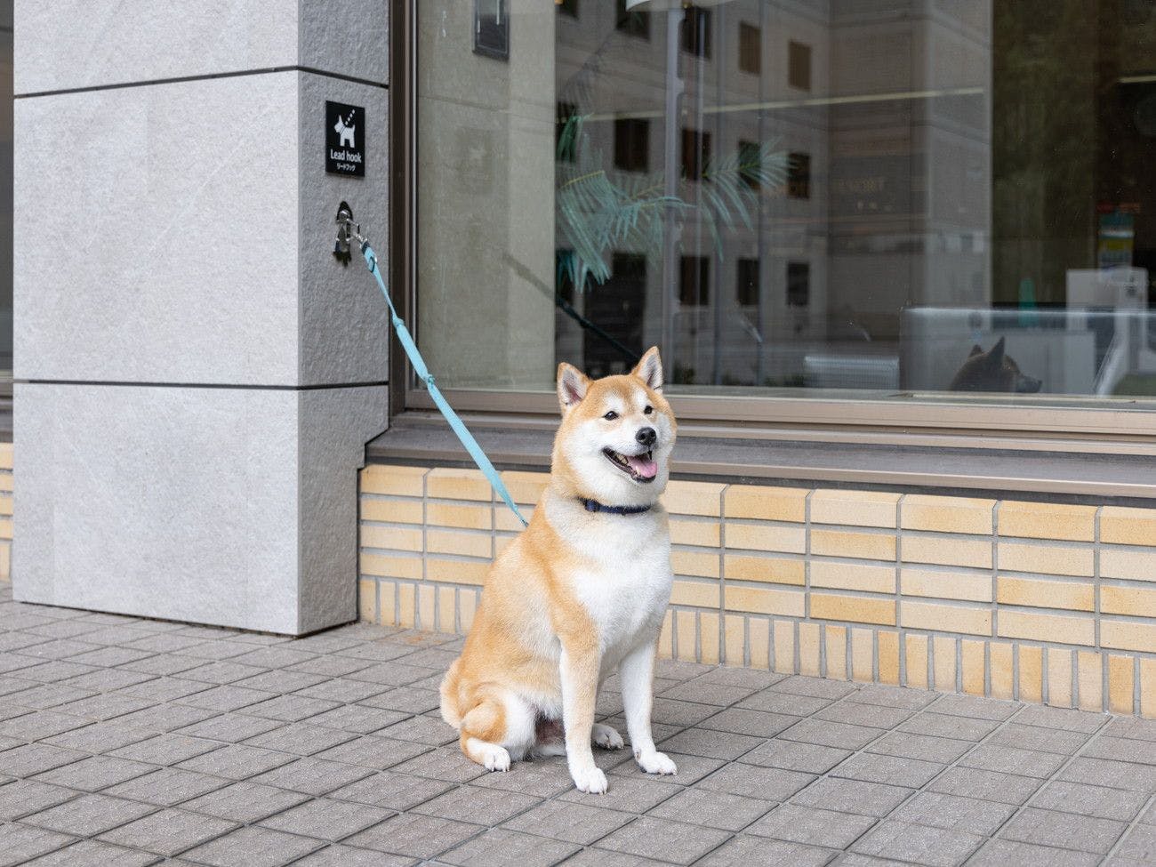 アパホテル＆リゾート〈上越妙高〉