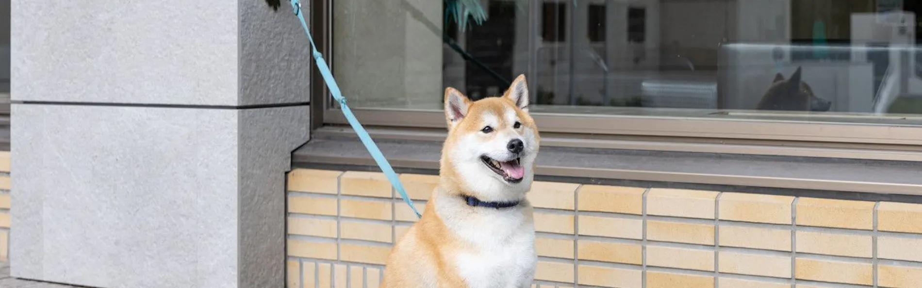 アパホテル&リゾート〈上越妙高〉