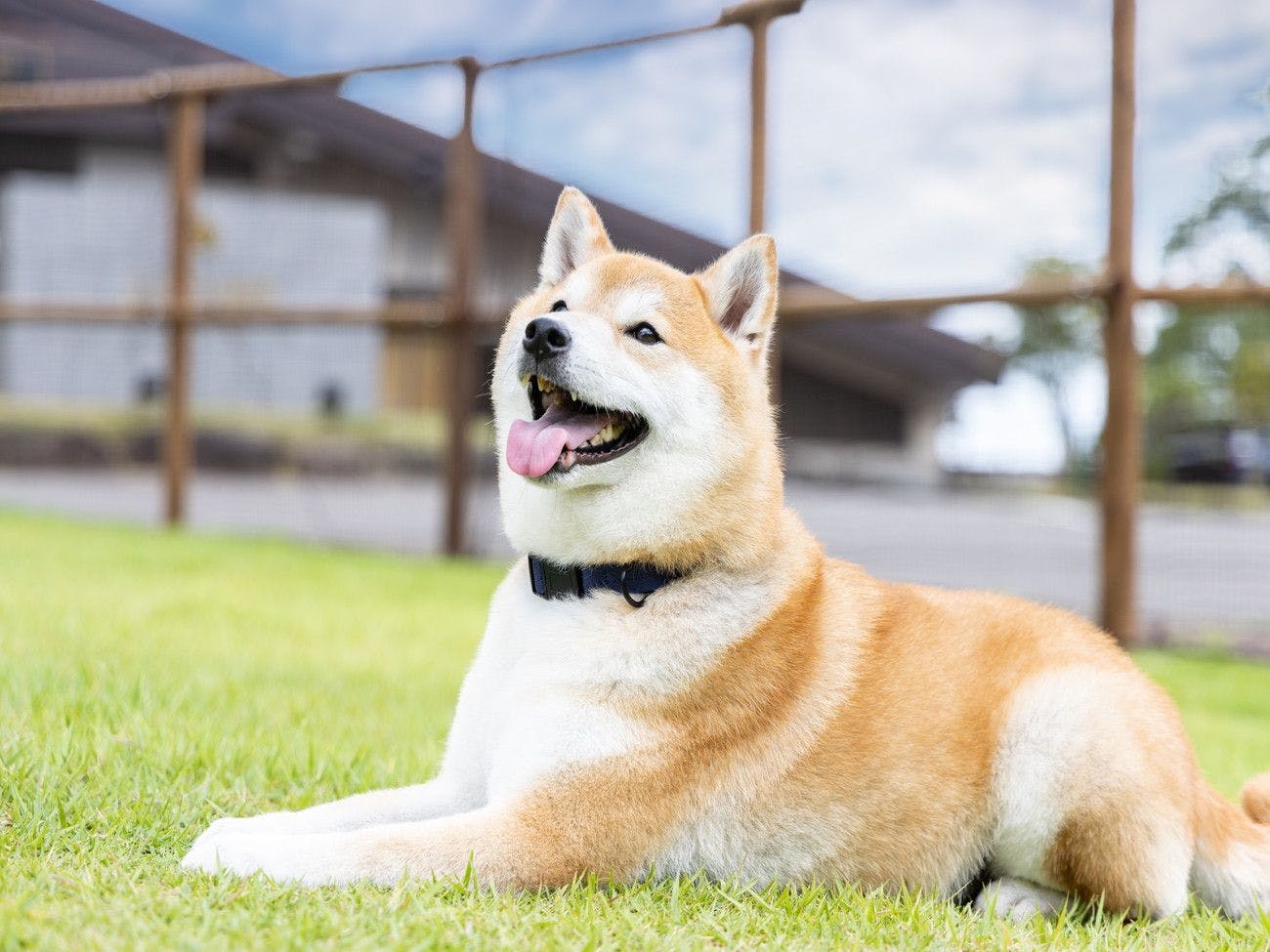 アパホテル＆リゾート〈上越妙高〉