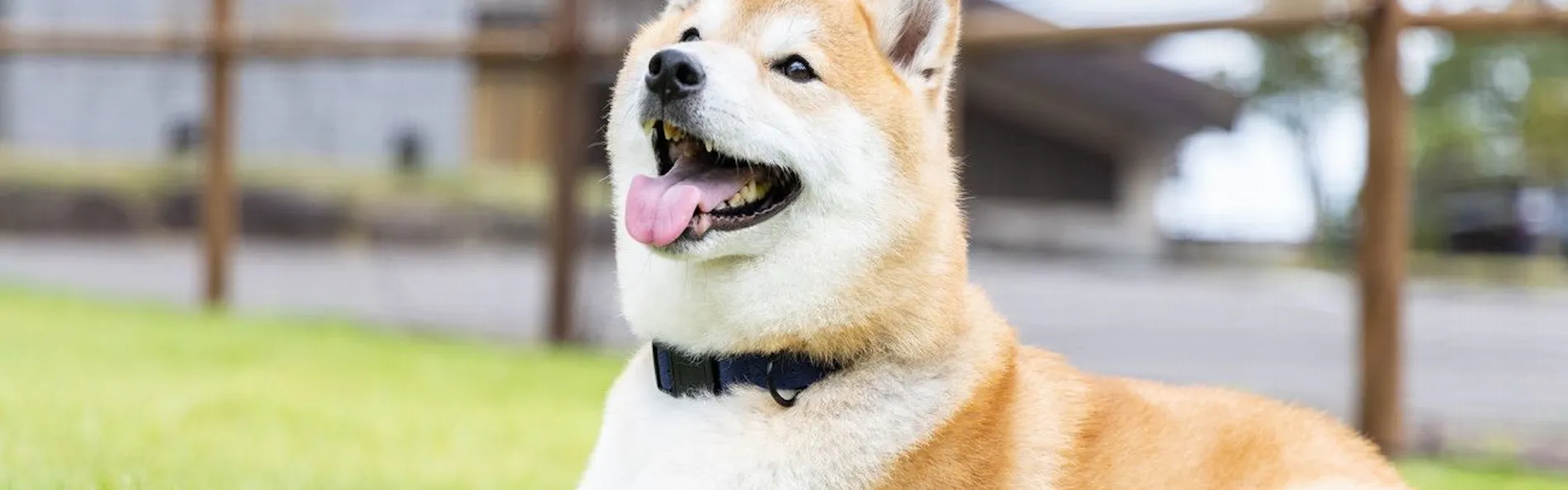 アパホテル&リゾート〈上越妙高〉