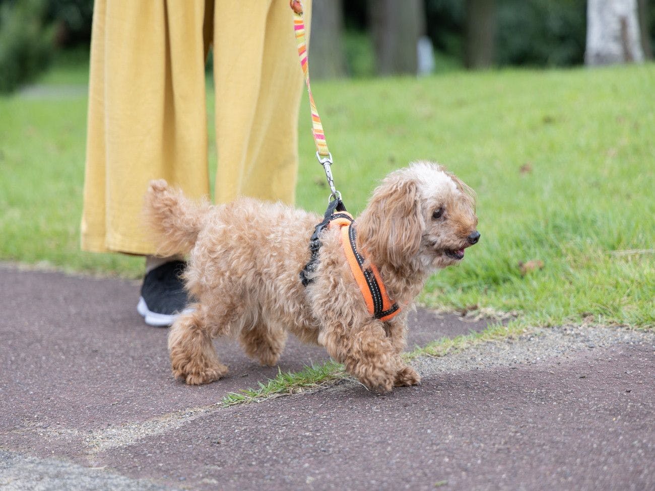 アパホテル＆リゾート〈上越妙高〉