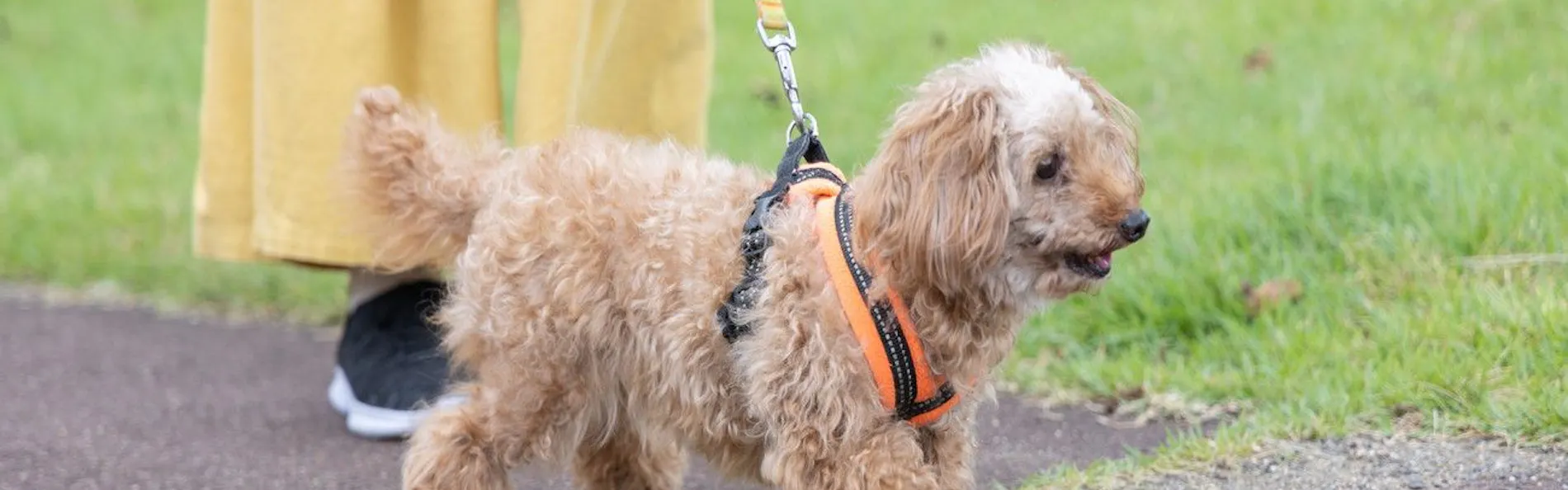 アパホテル&リゾート〈上越妙高〉