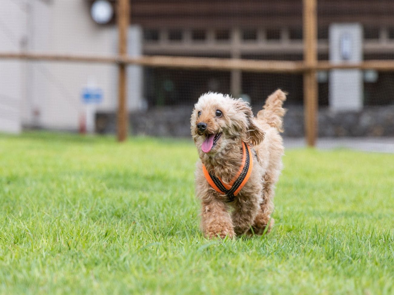 アパホテル＆リゾート〈上越妙高〉